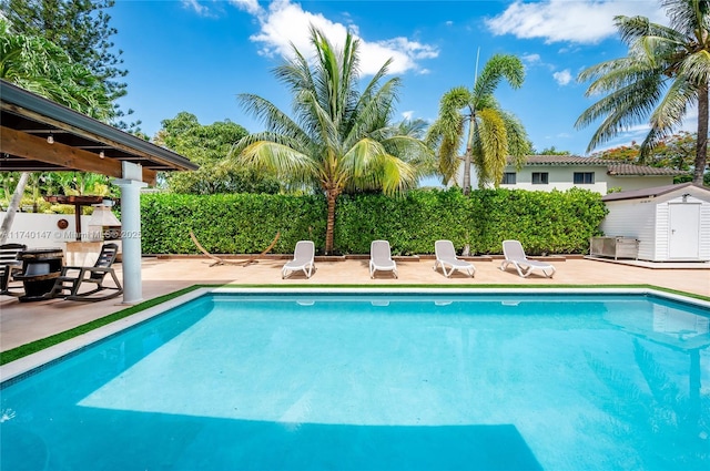 view of pool with a storage unit and a patio area