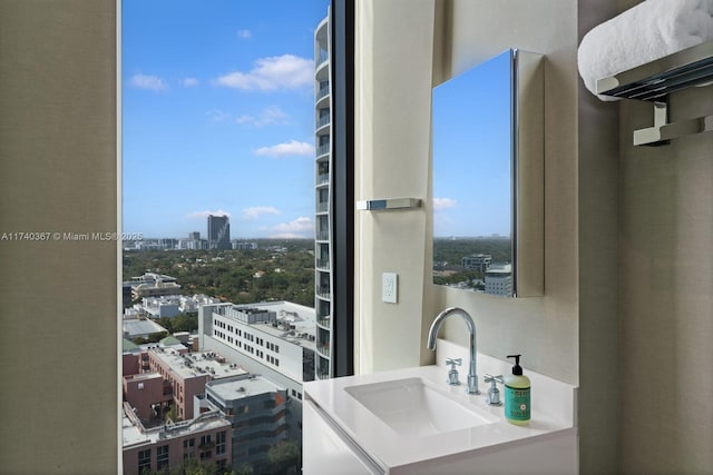 bathroom with sink and a wealth of natural light