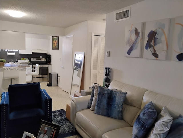 living room with a textured ceiling