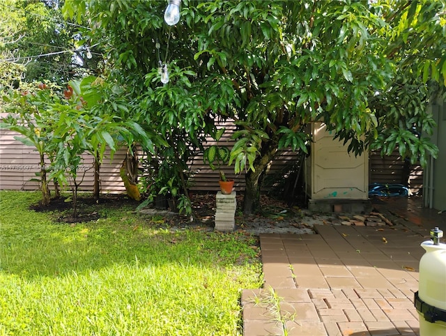 view of yard featuring a patio