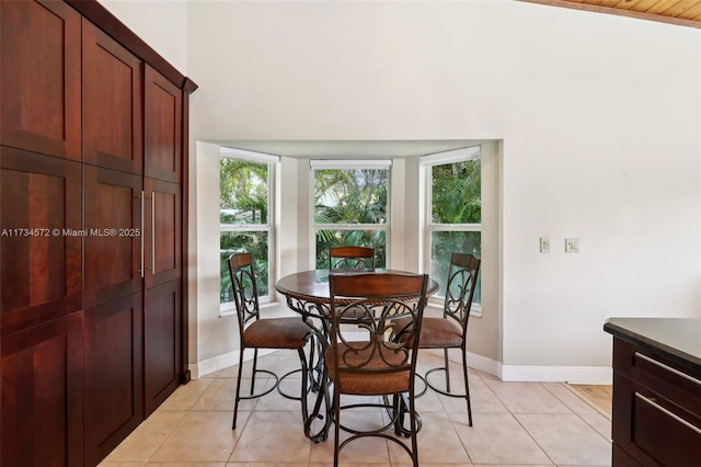 tiled dining room featuring plenty of natural light