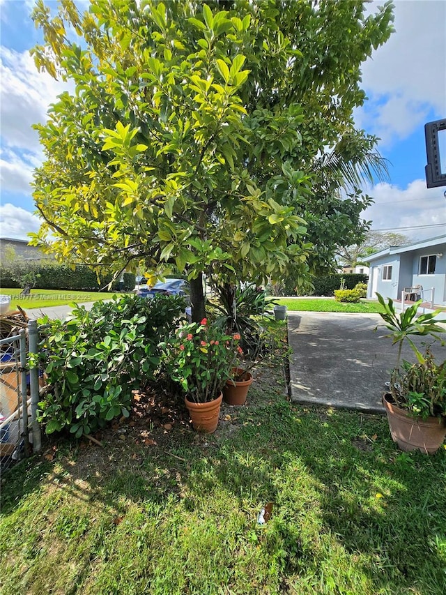 view of yard featuring a patio