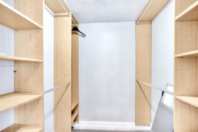 view of spacious closet