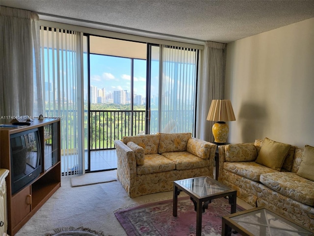 carpeted living area with a textured ceiling and a city view