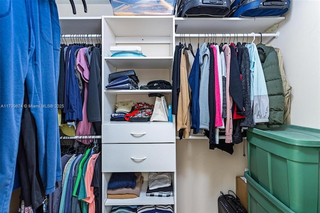 view of spacious closet