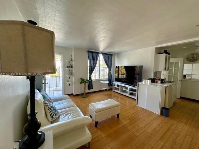 living room featuring light hardwood / wood-style flooring