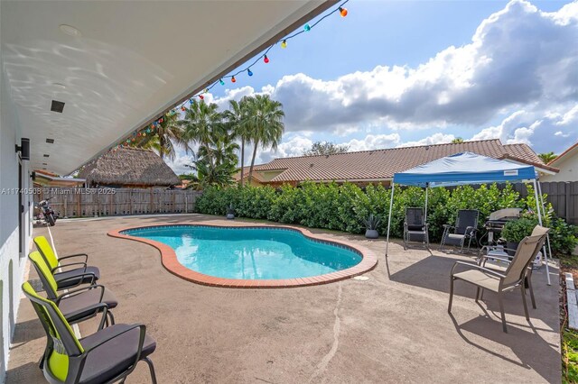 view of pool featuring a patio area