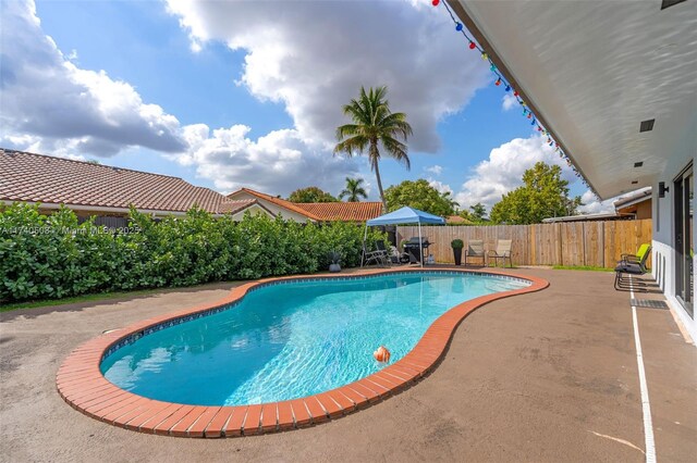 view of pool featuring a patio area