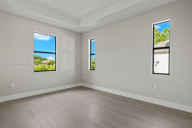 spare room with a raised ceiling and hardwood / wood-style floors