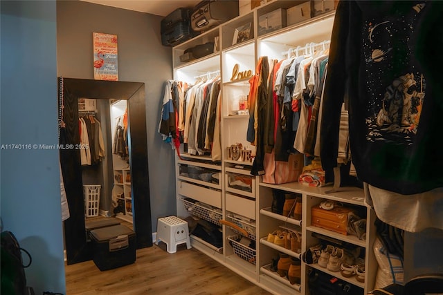 walk in closet featuring wood-type flooring