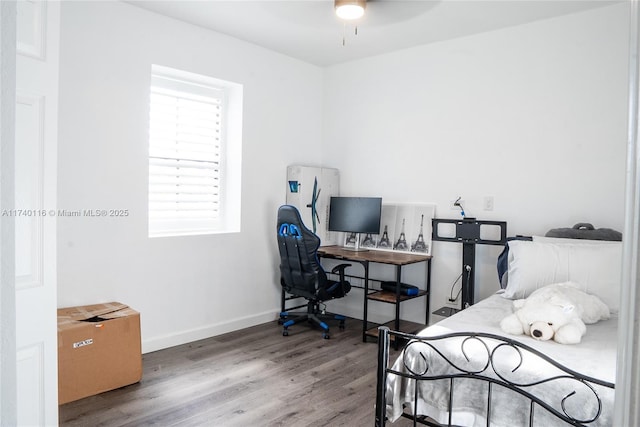 bedroom with hardwood / wood-style flooring