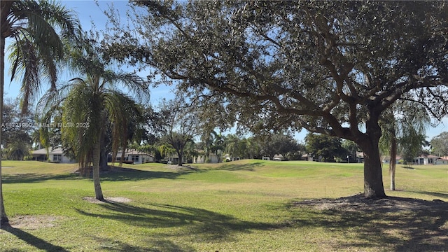 view of community featuring a yard