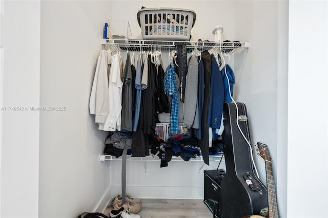 walk in closet featuring wood-type flooring