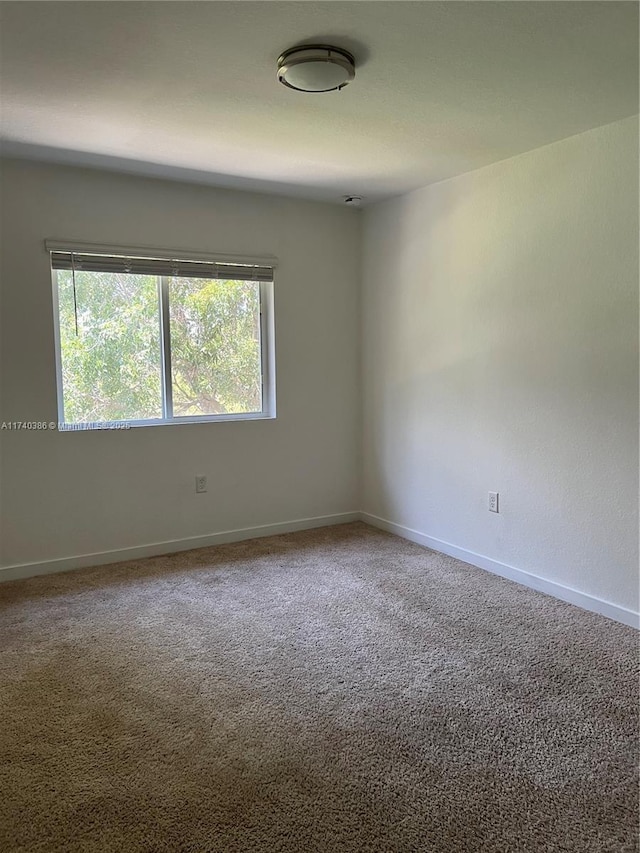 spare room featuring carpet flooring