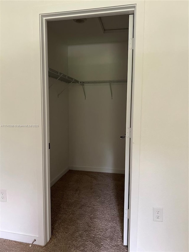 walk in closet with carpet