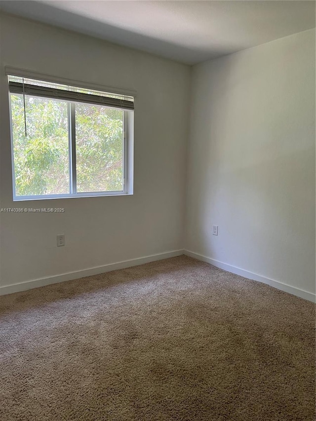 unfurnished room with carpet