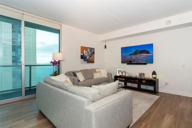 living room with hardwood / wood-style flooring and floor to ceiling windows