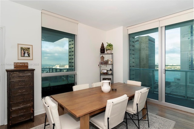 dining space featuring expansive windows and dark hardwood / wood-style flooring