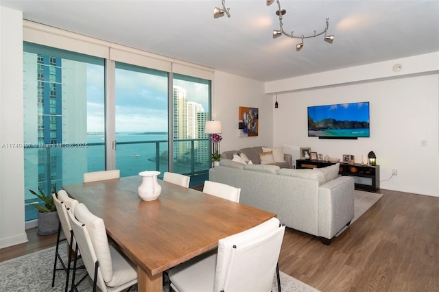 dining space featuring expansive windows and dark hardwood / wood-style flooring