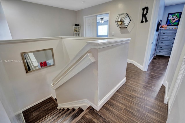 stairs with hardwood / wood-style floors