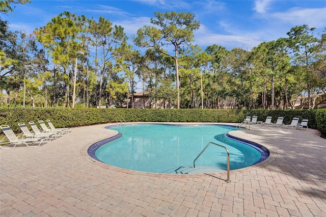 view of swimming pool with a patio