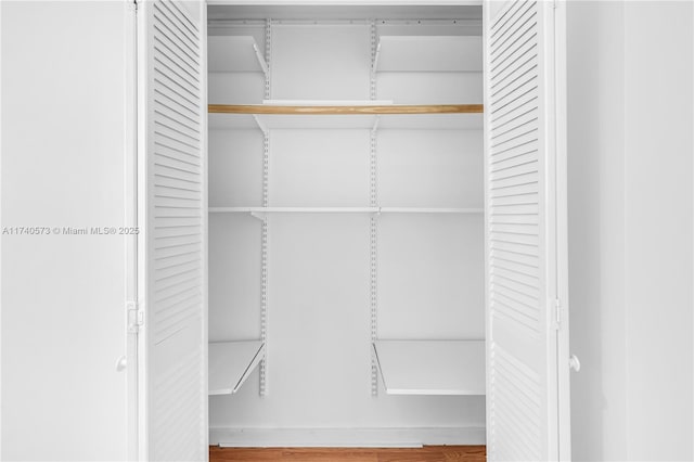 view of closet