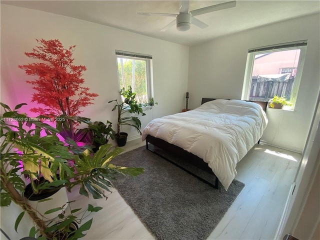 bedroom featuring light wood-style floors, multiple windows, and ceiling fan