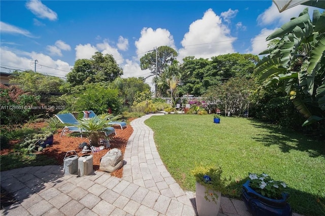 view of yard with a patio