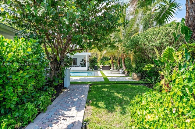view of yard with a patio and an outdoor pool