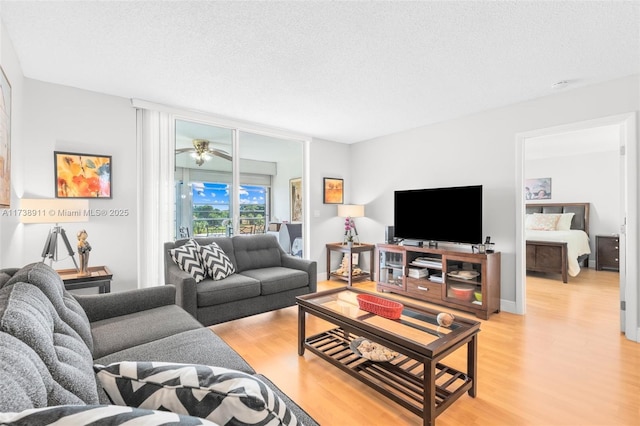 living room with a textured ceiling and light hardwood / wood-style floors