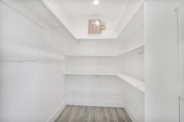 walk in closet featuring hardwood / wood-style flooring