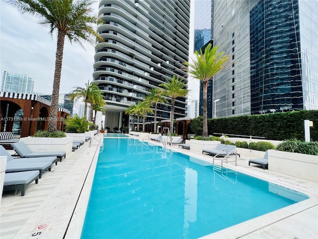 view of pool featuring a patio