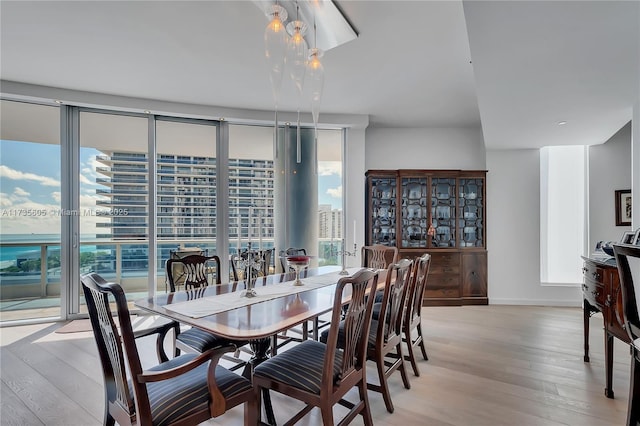 dining space with expansive windows, a wealth of natural light, and light hardwood / wood-style floors