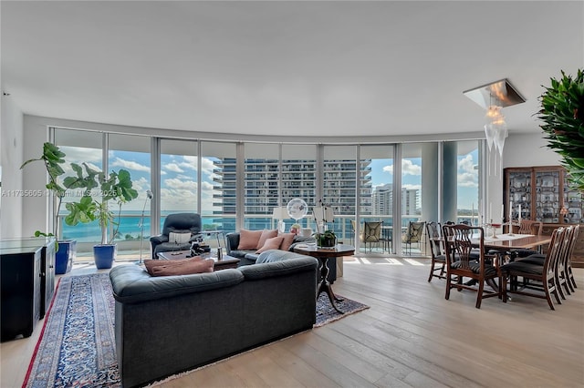 living room featuring a wealth of natural light, light hardwood / wood-style flooring, and floor to ceiling windows