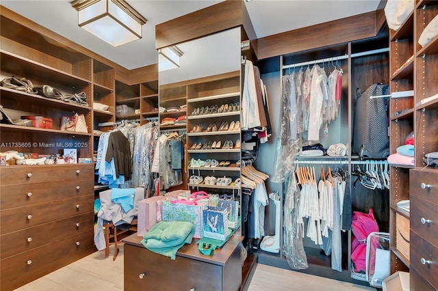 view of walk in closet