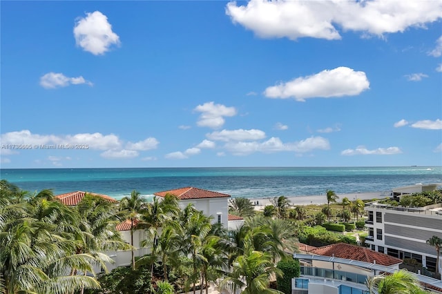 property view of water featuring a beach view