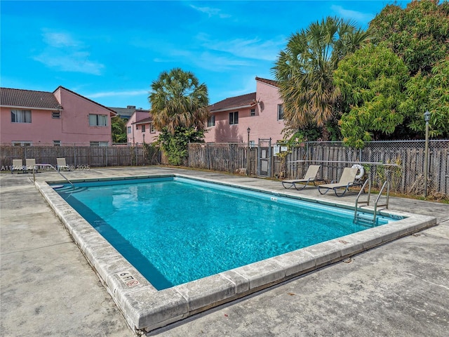 view of pool with a patio area