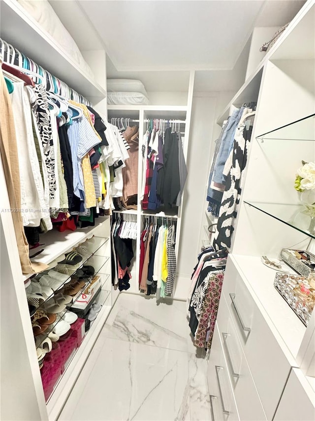 view of walk in closet