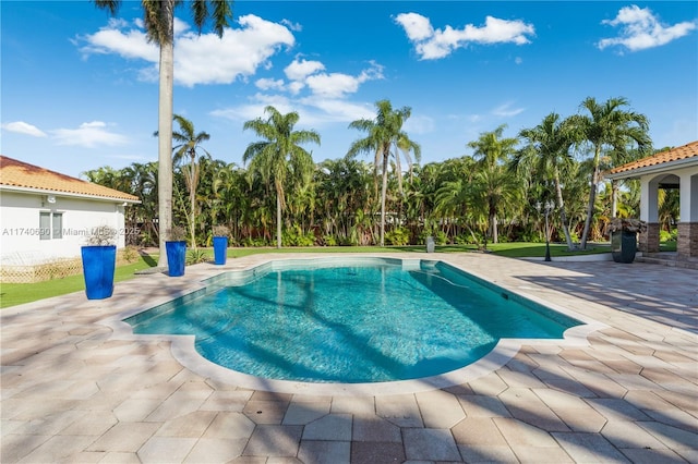 view of pool featuring a patio area