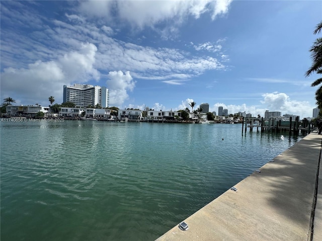 property view of water featuring a dock