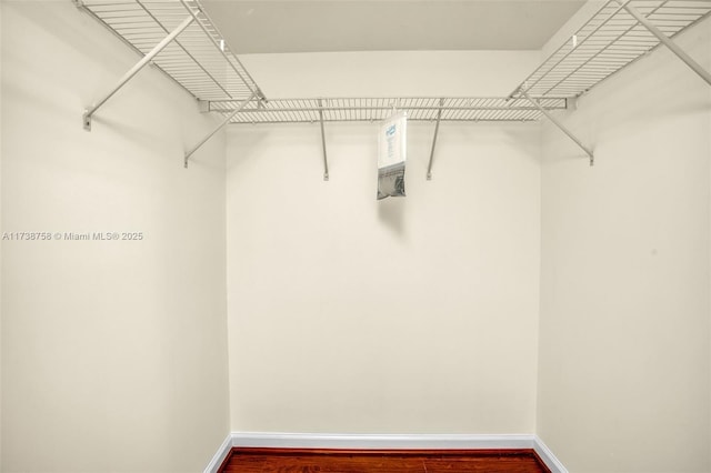 walk in closet with wood-type flooring