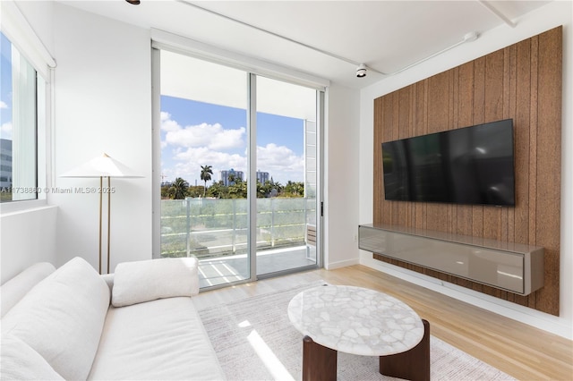 living room with hardwood / wood-style flooring and expansive windows