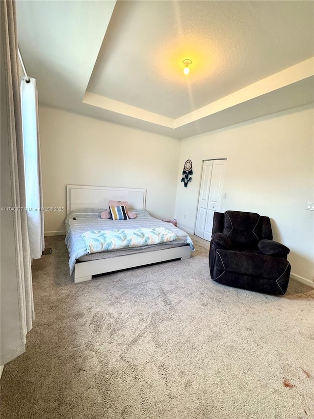 carpeted bedroom featuring a raised ceiling