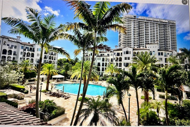 view of pool featuring a patio area