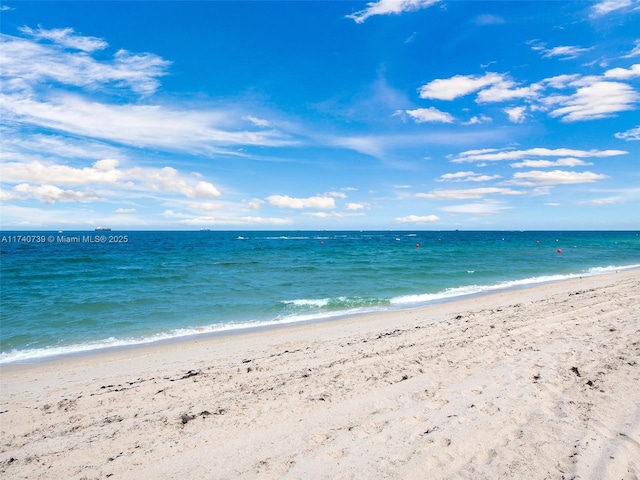 property view of water with a beach view