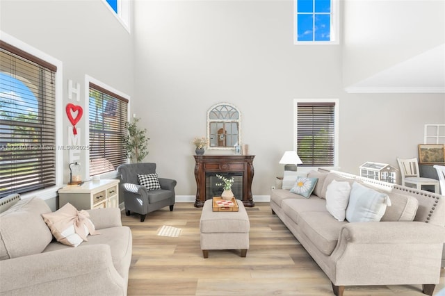 living room featuring a towering ceiling and light hardwood / wood-style floors