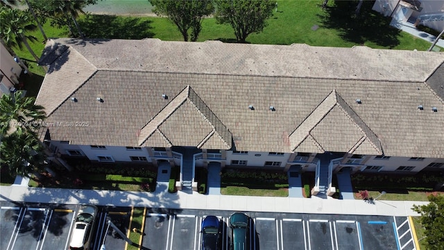 bird's eye view