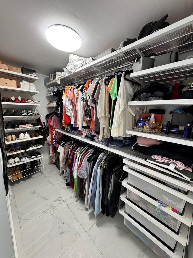 view of spacious closet