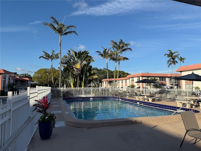 view of swimming pool featuring a patio area