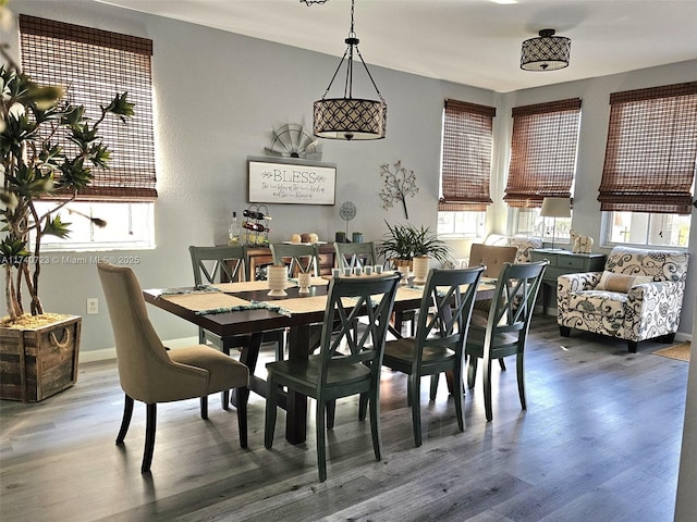 dining room featuring wood-type flooring